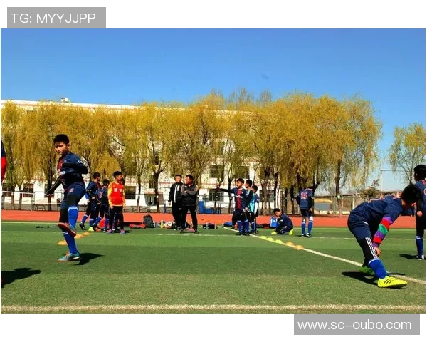 筷子兄弟足球：从音乐到绿茵场的激情碰撞与梦想追逐