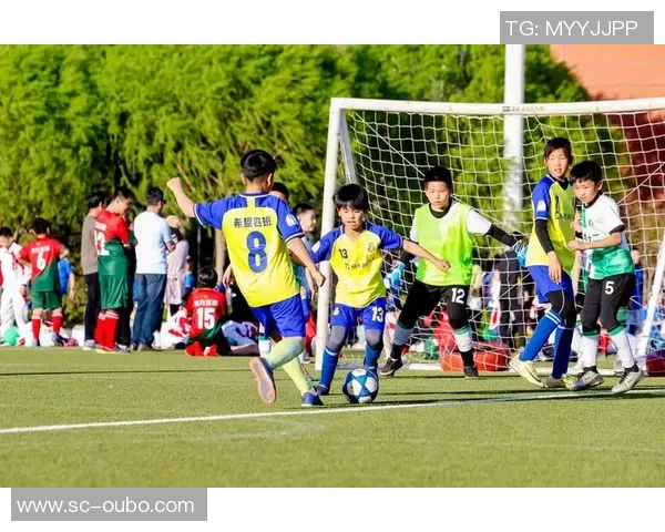 苏州新区足球班助力青少年成长培养足球人才的全新平台