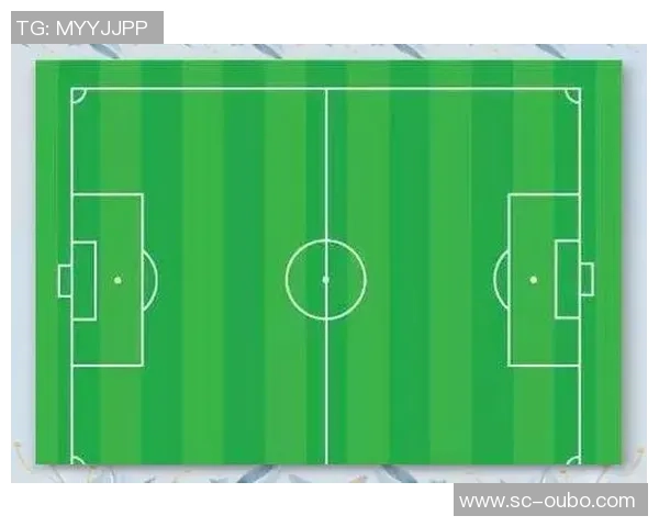 足球场地分类详解及其在不同比赛中的应用与影响分析